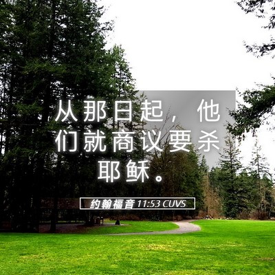 Picture 05 - 约 翰 福 音 11:53 CUVS - 从 那 日 起 ， 他 们 就 商 议 要 杀 - Bible Verse Picture