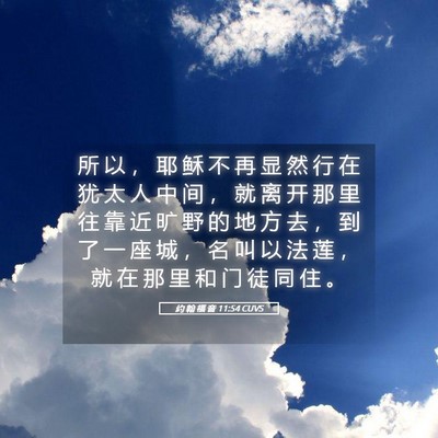 Picture 05 - 约 翰 福 音 11:54 CUVS - 所 以 ， 耶 稣 不 再 显 然 行 在 犹 - Bible Verse Picture