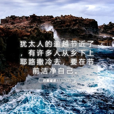 Picture 05 - 约 翰 福 音 11:55 CUVS - 犹 太 人 的 逾 越 节 近 了 ， 有 许 - Bible Verse Picture
