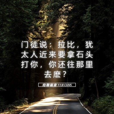 Picture 05 - 约 翰 福 音 11:8 CUVS - 门 徒 说 ： 拉 比 ， 犹 太 人 近 来 - Bible Verse Picture