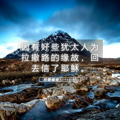 Picture 05 - 约 翰 福 音 12:11 CUVS - 因 有 好 些 犹 太 人 为 拉 撒 路 的 - Bible Verse Picture