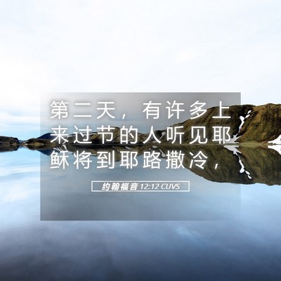 Picture 05 - 约 翰 福 音 12:12 CUVS - 第 二 天 ， 有 许 多 上 来 过 节 的 - Bible Verse Picture