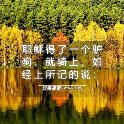 Picture 05 - 约 翰 福 音 12:14 CUVS - 耶 稣 得 了 一 个 驴 驹 ， 就 骑 上 - Bible Verse Picture