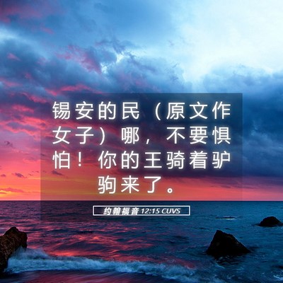 Picture 05 - 约 翰 福 音 12:15 CUVS - 锡 安 的 民 （ 原 文 作 女 子 ） 哪 - Bible Verse Picture