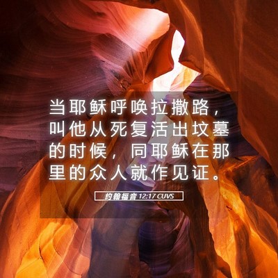 Picture 05 - 约 翰 福 音 12:17 CUVS - 当 耶 稣 呼 唤 拉 撒 路 ， 叫 他 从 - Bible Verse Picture