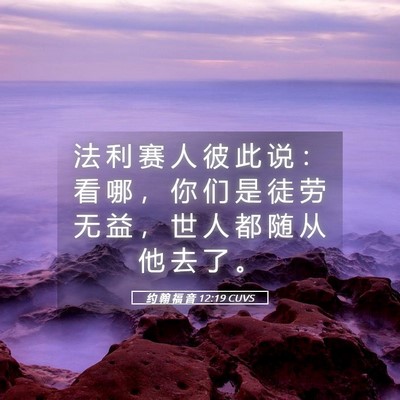 Picture 05 - 约 翰 福 音 12:19 CUVS - 法 利 赛 人 彼 此 说 ： 看 哪 ， 你 - Bible Verse Picture