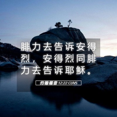 Picture 05 - 约 翰 福 音 12:22 CUVS - 腓 力 去 告 诉 安 得 烈 ， 安 得 烈 - Bible Verse Picture