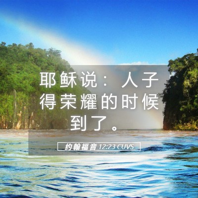 Picture 05 - 约 翰 福 音 12:23 CUVS - 耶 稣 说 ： 人 子 得 荣 耀 的 时 候 - Bible Verse Picture