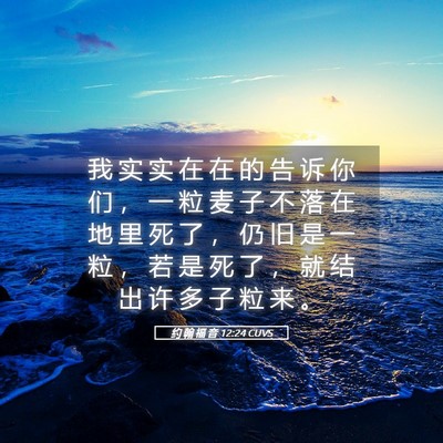 Picture 05 - 约 翰 福 音 12:24 CUVS - 我 实 实 在 在 的 告 诉 你 们 ， 一 - Bible Verse Picture