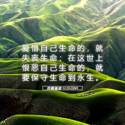 Picture 05 - 约 翰 福 音 12:25 CUVS - 爱 惜 自 己 生 命 的 ， 就 失 丧 生 - Bible Verse Picture