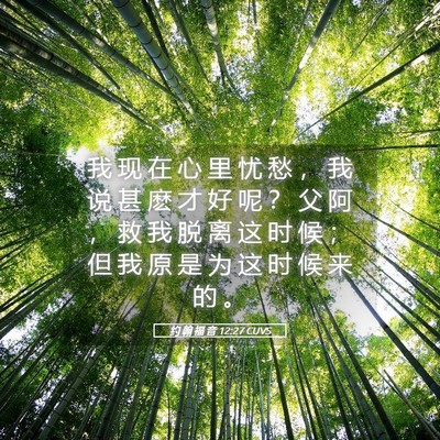 Picture 05 - 约 翰 福 音 12:27 CUVS - 我 现 在 心 里 忧 愁 ， 我 说 甚 麽 - Bible Verse Picture