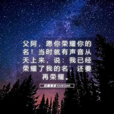 Picture 05 - 约 翰 福 音 12:28 CUVS - 父 阿 ， 愿 你 荣 耀 你 的 名 ！ 当 - Bible Verse Picture
