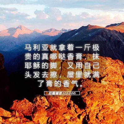 Picture 05 - 约 翰 福 音 12:3 CUVS - 马 利 亚 就 拿 着 一 斤 极 贵 的 真 - Bible Verse Picture