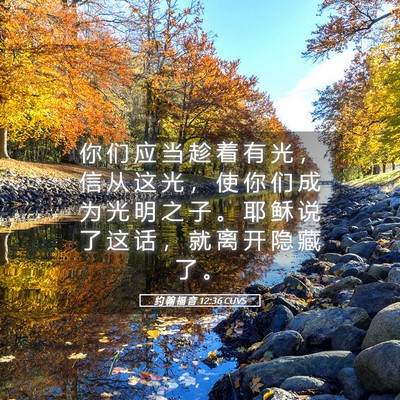 Picture 05 - 约 翰 福 音 12:36 CUVS - 你 们 应 当 趁 着 有 光 ， 信 从 这 - Bible Verse Picture