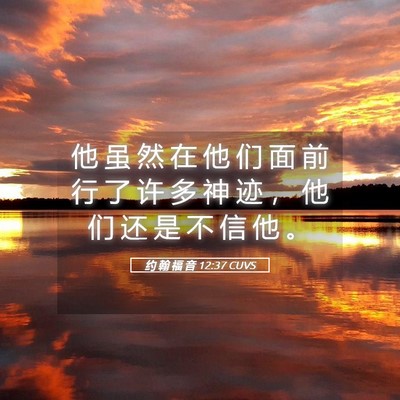Picture 05 - 约 翰 福 音 12:37 CUVS - 他 虽 然 在 他 们 面 前 行 了 许 多 - Bible Verse Picture