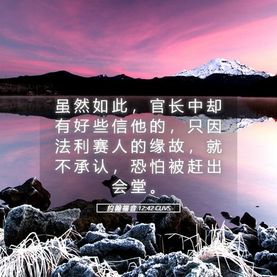 Picture 05 - 约 翰 福 音 12:42 CUVS - 虽 然 如 此 ， 官 长 中 却 有 好 些 - Bible Verse Picture