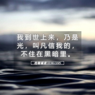 Picture 05 - 约 翰 福 音 12:46 CUVS - 我 到 世 上 来 ， 乃 是 光 ， 叫 凡 - Bible Verse Picture