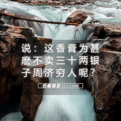 Picture 05 - 约 翰 福 音 12:5 CUVS - 说 ： 这 香 膏 为 甚 麽 不 卖 三 十 - Bible Verse Picture
