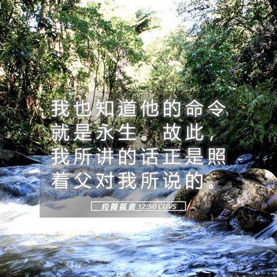 Picture 05 - 约 翰 福 音 12:50 CUVS - 我 也 知 道 他 的 命 令 就 是 永 生 - Bible Verse Picture