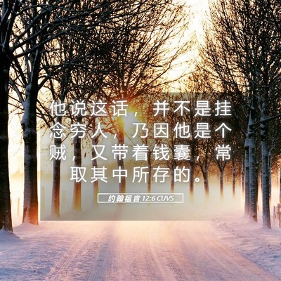 Picture 05 - 约 翰 福 音 12:6 CUVS - 他 说 这 话 ， 并 不 是 挂 念 穷 人 - Bible Verse Picture