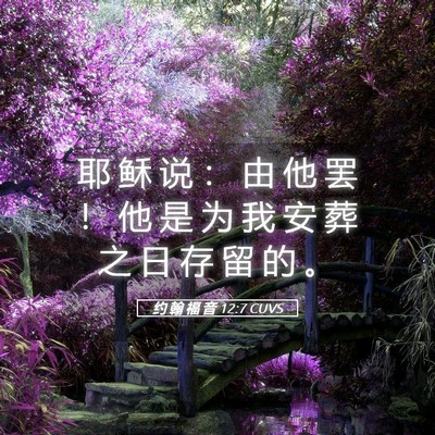 Picture 05 - 约 翰 福 音 12:7 CUVS - 耶 稣 说 ： 由 他 罢 ！ 他 是 为 我 - Bible Verse Picture