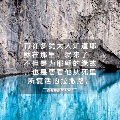 Picture 05 - 约 翰 福 音 12:9 CUVS - 有 许 多 犹 太 人 知 道 耶 稣 在 那 - Bible Verse Picture