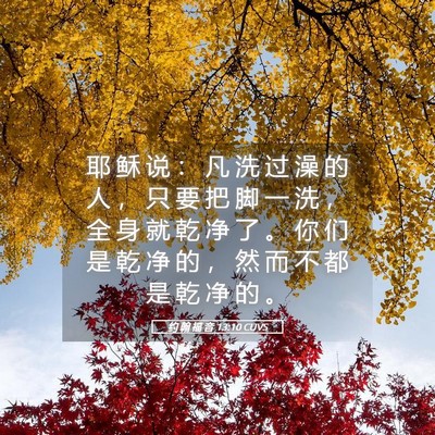 Picture 05 - 约 翰 福 音 13:10 CUVS - 耶 稣 说 ： 凡 洗 过 澡 的 人 ， 只 - Bible Verse Picture