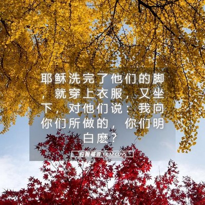 Picture 05 - 约 翰 福 音 13:12 CUVS - 耶 稣 洗 完 了 他 们 的 脚 ， 就 穿 - Bible Verse Picture