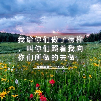 Picture 05 - 约 翰 福 音 13:15 CUVS - 我 给 你 们 做 了 榜 样 ， 叫 你 们 - Bible Verse Picture