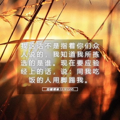 Picture 05 - 约 翰 福 音 13:18 CUVS - 我 这 话 不 是 指 着 你 们 众 人 说 - Bible Verse Picture