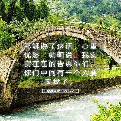 Picture 05 - 约 翰 福 音 13:21 CUVS - 耶 稣 说 了 这 话 ， 心 里 忧 愁 ， - Bible Verse Picture