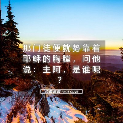 Picture 05 - 约 翰 福 音 13:25 CUVS - 那 门 徒 便 就 势 靠 着 耶 稣 的 胸 - Bible Verse Picture