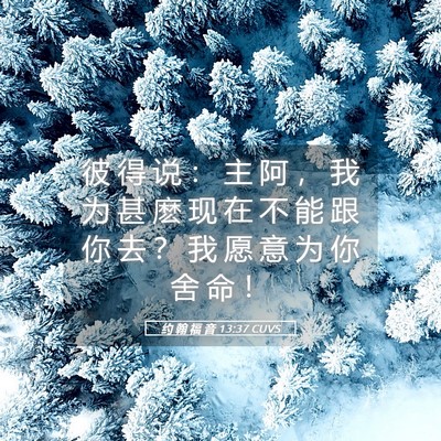 Picture 05 - 约 翰 福 音 13:37 CUVS - 彼 得 说 ： 主 阿 ， 我 为 甚 麽 现 - Bible Verse Picture