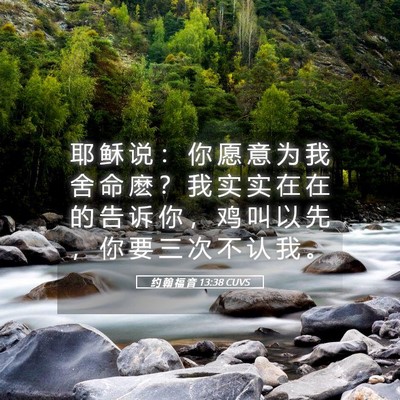 Picture 05 - 约 翰 福 音 13:38 CUVS - 耶 稣 说 ： 你 愿 意 为 我 舍 命 麽 - Bible Verse Picture