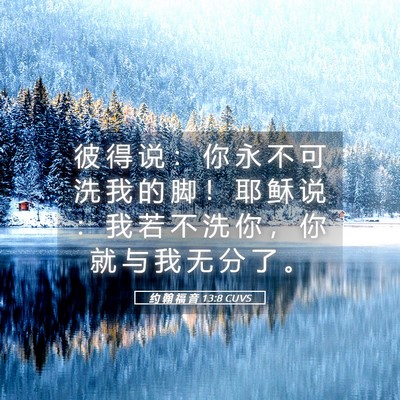 Picture 05 - 约 翰 福 音 13:8 CUVS - 彼 得 说 ： 你 永 不 可 洗 我 的 脚 - Bible Verse Picture