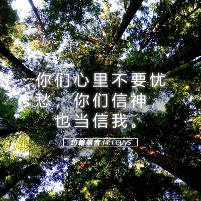 Picture 05 - 约 翰 福 音 14:1 CUVS - 你 们 心 里 不 要 忧 愁 ； 你 们 信 - Bible Verse Picture