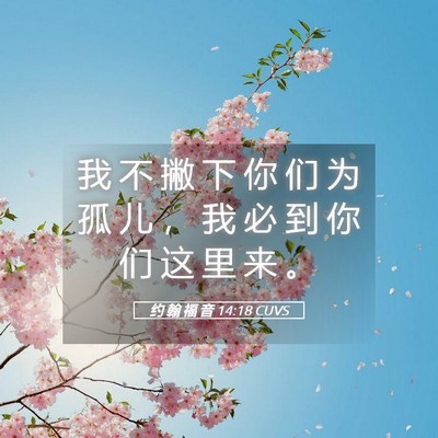 Picture 05 - 约 翰 福 音 14:18 CUVS - 我 不 撇 下 你 们 为 孤 儿 ， 我 必 - Bible Verse Picture