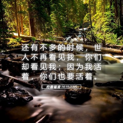 Picture 05 - 约 翰 福 音 14:19 CUVS - 还 有 不 多 的 时 候 ， 世 人 不 再 - Bible Verse Picture