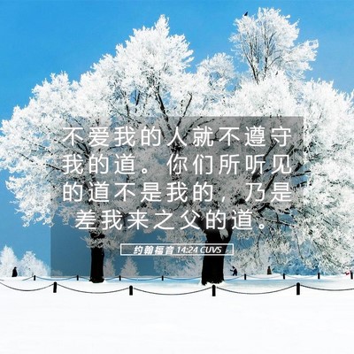Picture 05 - 约 翰 福 音 14:24 CUVS - 不 爱 我 的 人 就 不 遵 守 我 的 道 - Bible Verse Picture