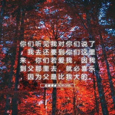 Picture 05 - 约 翰 福 音 14:28 CUVS - 你 们 听 见 我 对 你 们 说 了 ， 我 - Bible Verse Picture