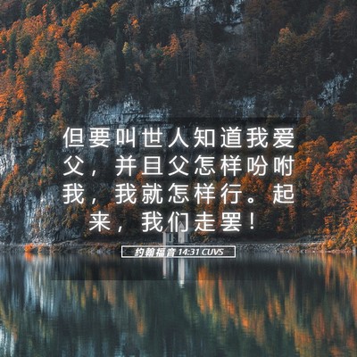 Picture 05 - 约 翰 福 音 14:31 CUVS - 但 要 叫 世 人 知 道 我 爱 父 ， 并 - Bible Verse Picture