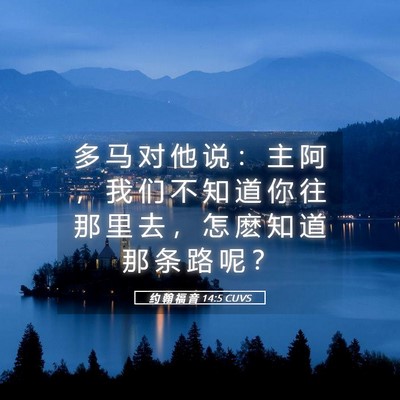 Picture 05 - 约 翰 福 音 14:5 CUVS - 多 马 对 他 说 ： 主 阿 ， 我 们 不 - Bible Verse Picture