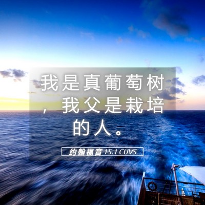 Picture 05 - 约 翰 福 音 15:1 CUVS - 我 是 真 葡 萄 树 ， 我 父 是 栽 培 - Bible Verse Picture