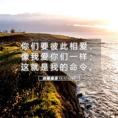 Picture 05 - 约 翰 福 音 15:12 CUVS - 你 们 要 彼 此 相 爱 ， 像 我 爱 你 - Bible Verse Picture