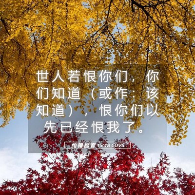 Picture 05 - 约 翰 福 音 15:18 CUVS - 世 人 若 恨 你 们 ， 你 们 知 道 （ - Bible Verse Picture