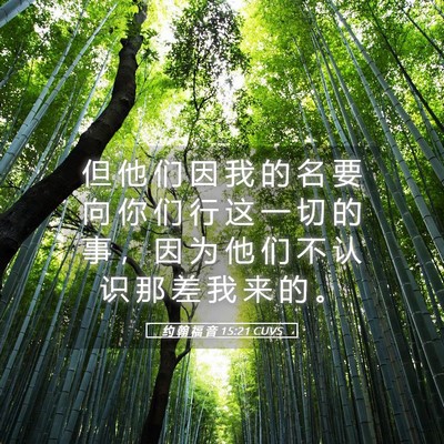 Picture 05 - 约 翰 福 音 15:21 CUVS - 但 他 们 因 我 的 名 要 向 你 们 行 - Bible Verse Picture