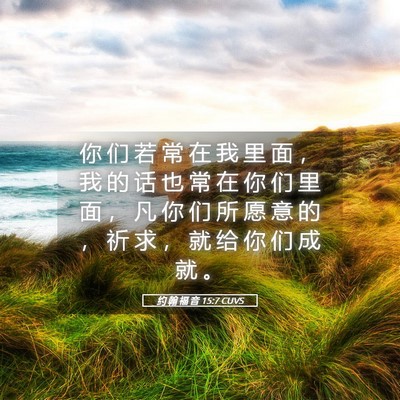 Picture 05 - 约 翰 福 音 15:7 CUVS - 你 们 若 常 在 我 里 面 ， 我 的 话 - Bible Verse Picture