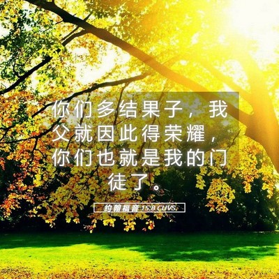 Picture 05 - 约 翰 福 音 15:8 CUVS - 你 们 多 结 果 子 ， 我 父 就 因 此 - Bible Verse Picture