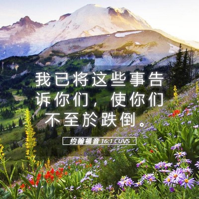 Picture 05 - 约 翰 福 音 16:1 CUVS - 我 已 将 这 些 事 告 诉 你 们 ， 使 - Bible Verse Picture