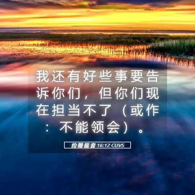 Picture 05 - 约 翰 福 音 16:12 CUVS - 我 还 有 好 些 事 要 告 诉 你 们 ， - Bible Verse Picture